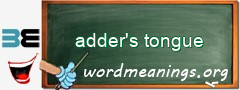 WordMeaning blackboard for adder's tongue
